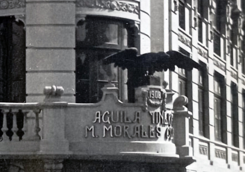 Águila Tinerfeña