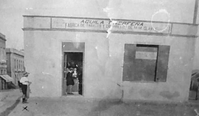 Águila Tinerfeña