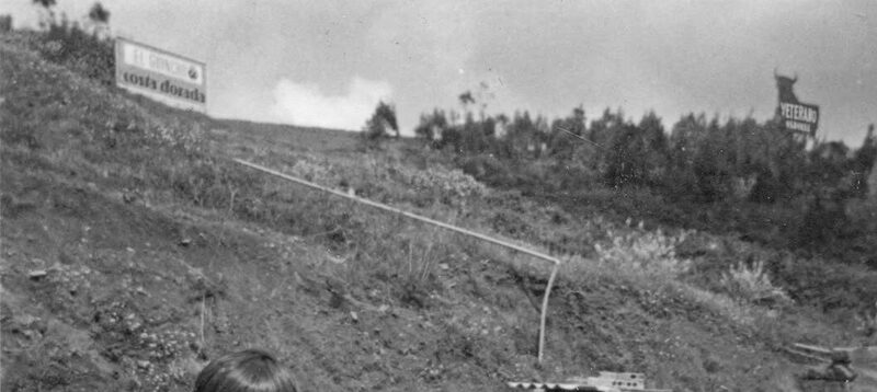 Toro de Osborne (9)