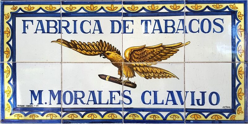 Águila Tinerfeña