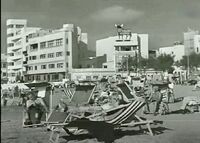 Toro de Osborne (1)