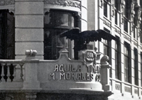 Águila Tinerfeña