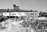 Toro de Osborne (7)