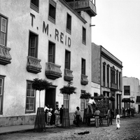 Thomas Miller Reid