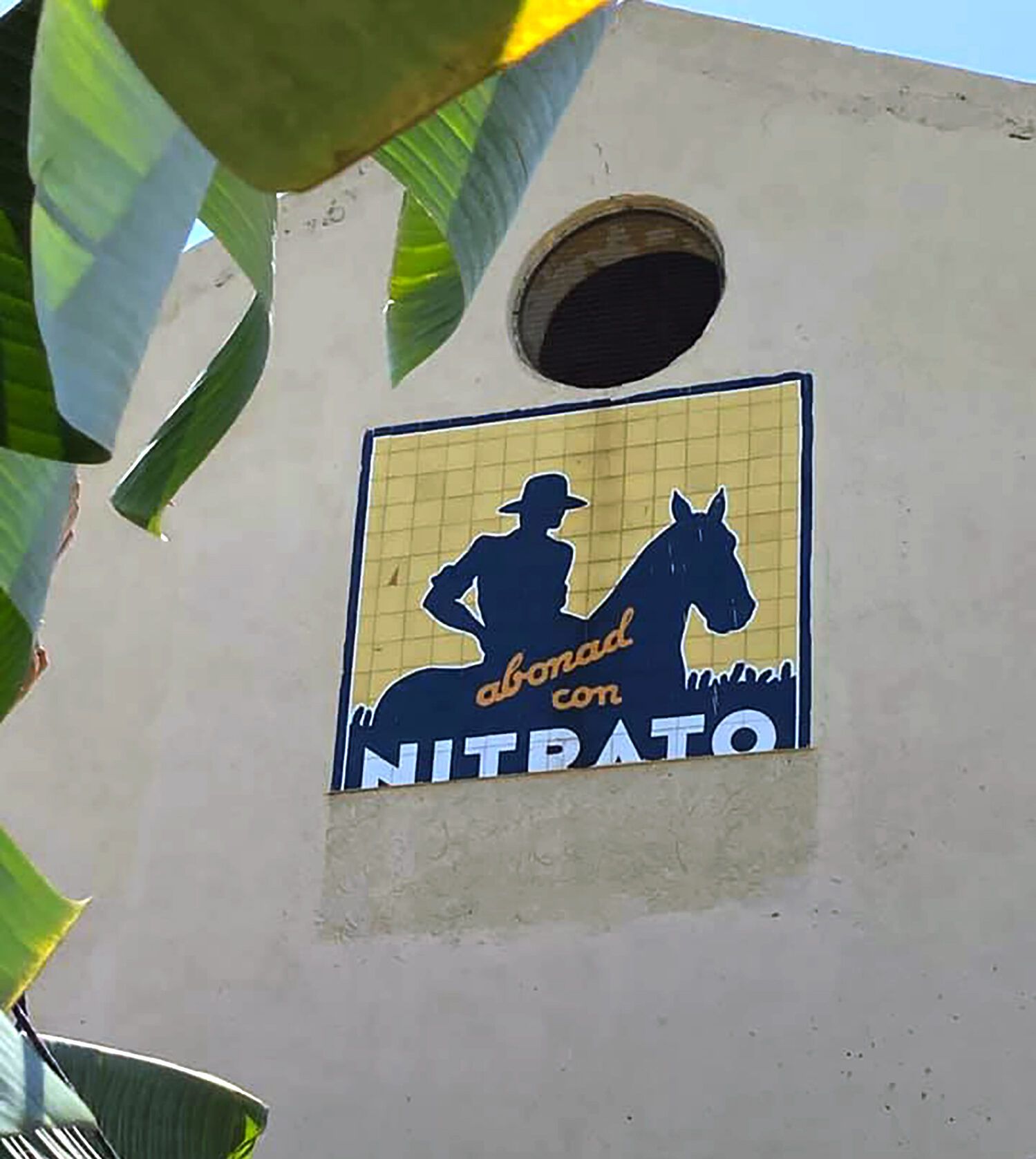 Nitrato de Chile (1)
