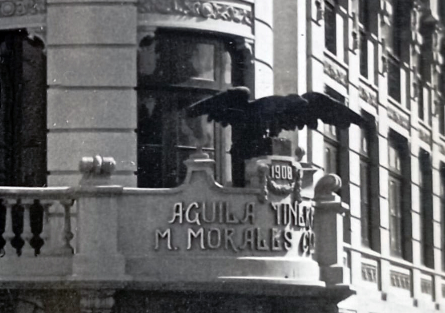 Águila Tinerfeña