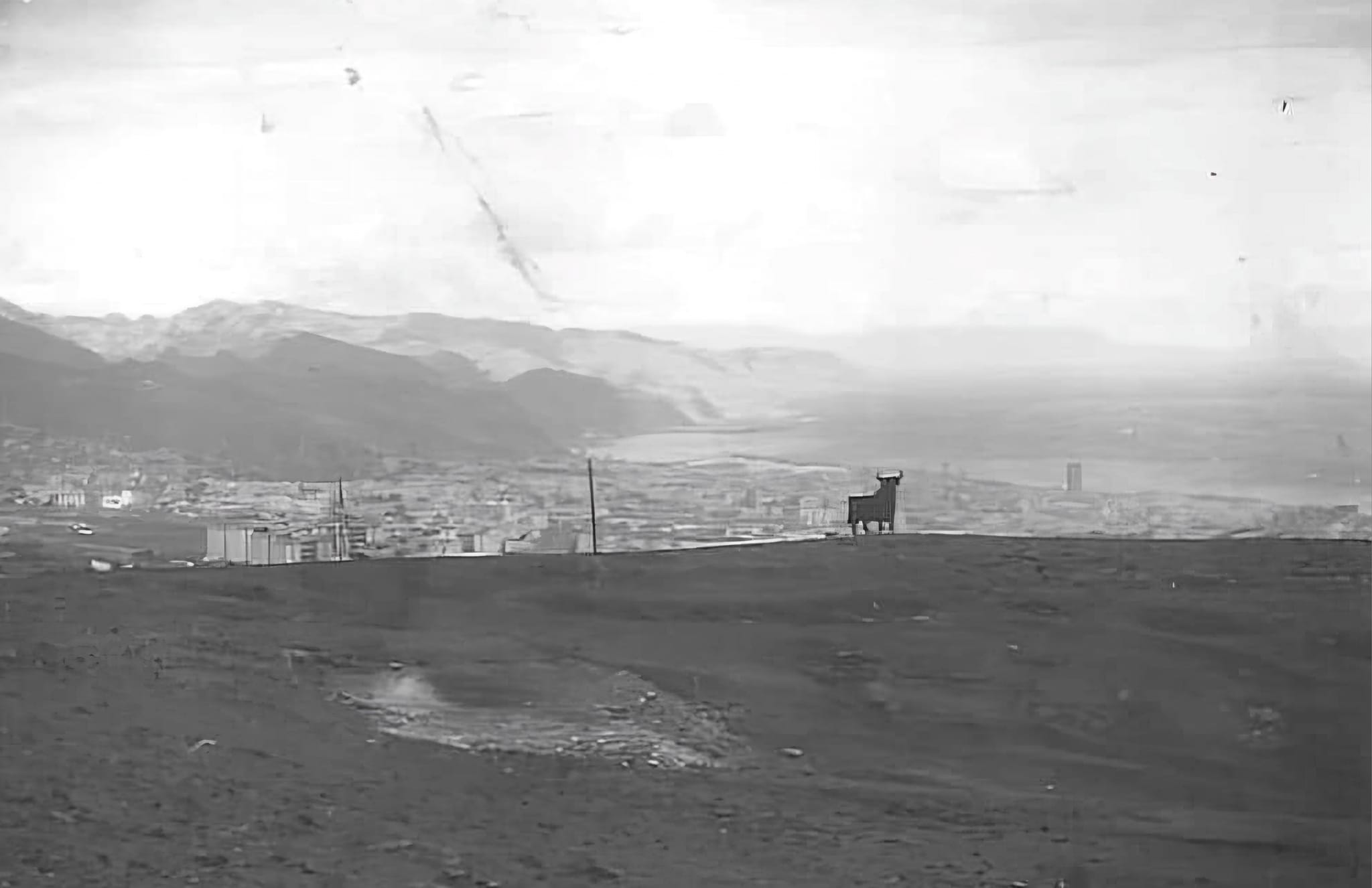 Toro de Osborne (4)