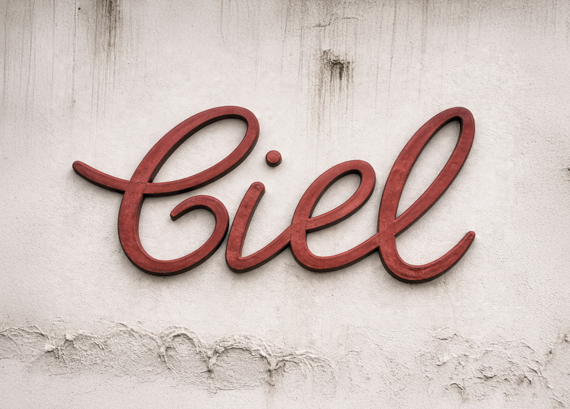 Comercial Importadora Exportadora Limitada (CIEL)