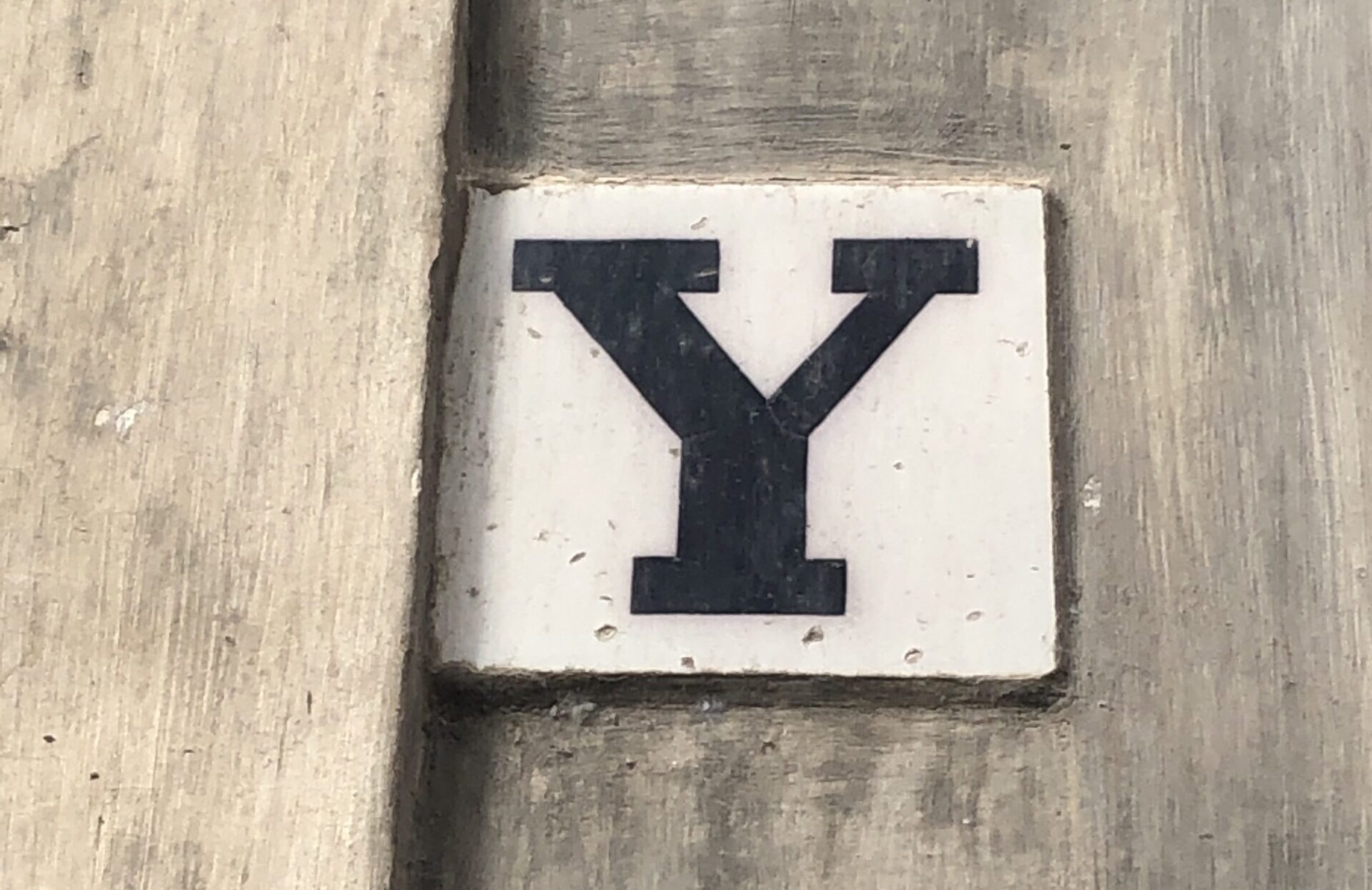 Y