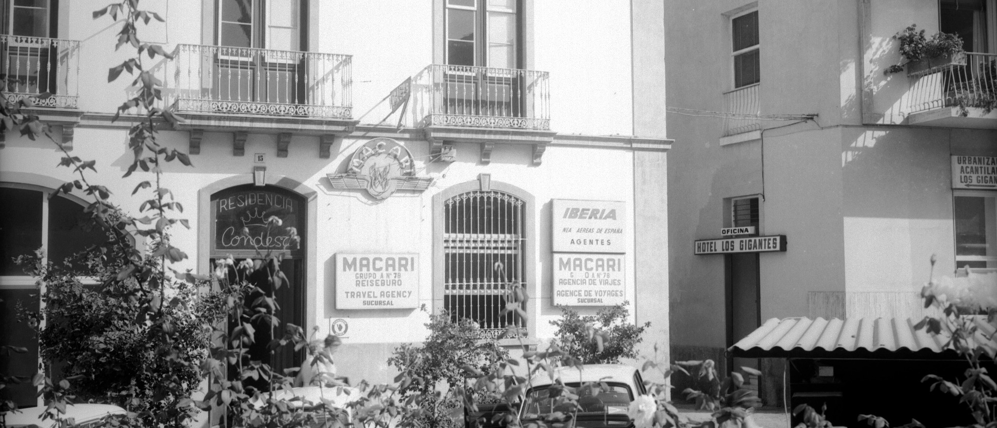 Macari