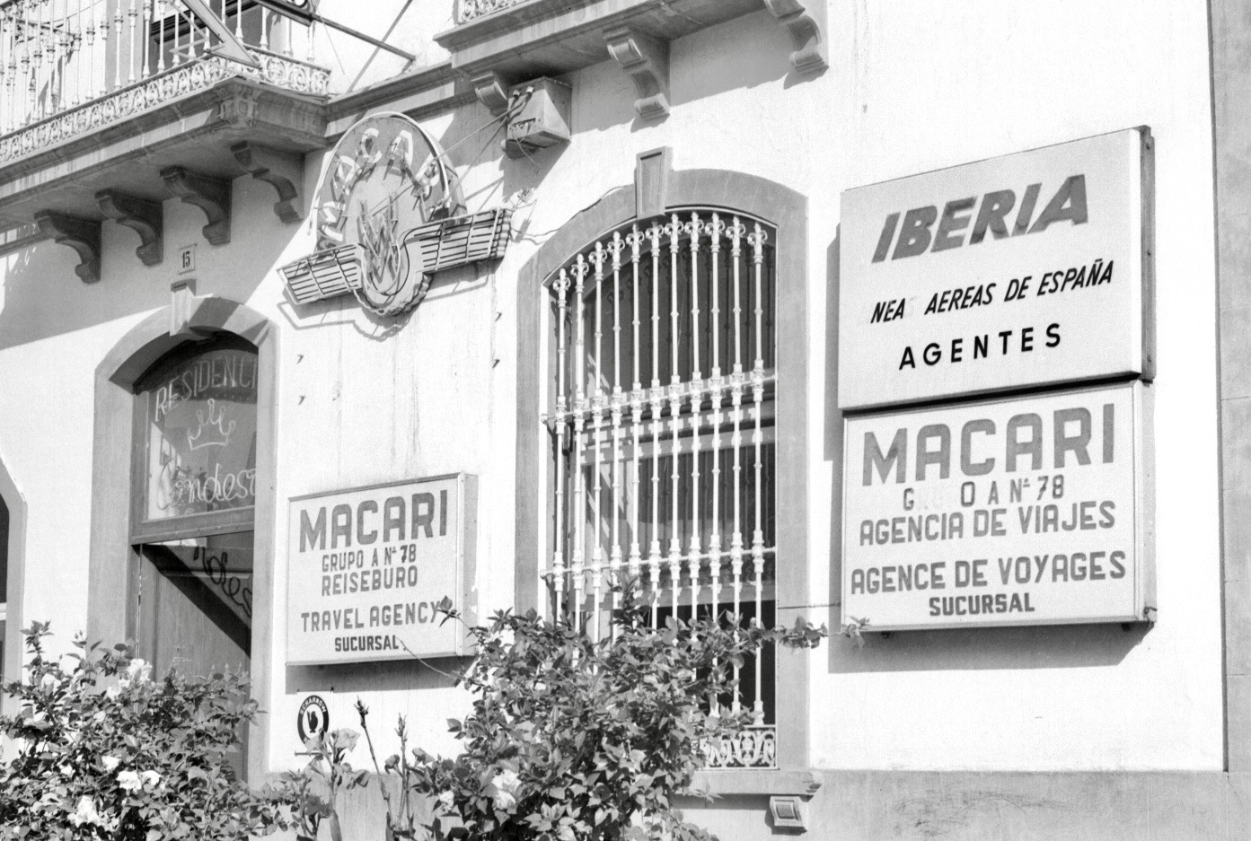Macari