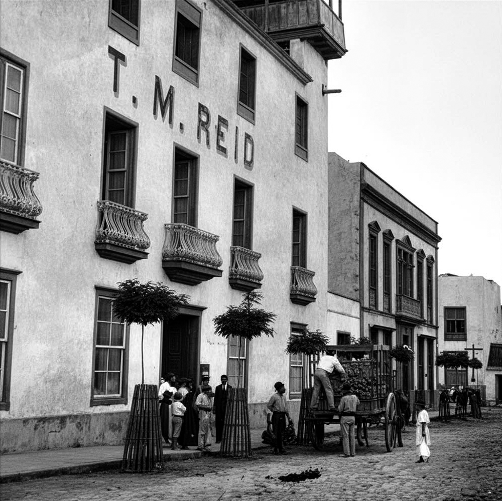 Thomas Miller Reid