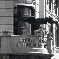 Águila Tinerfeña